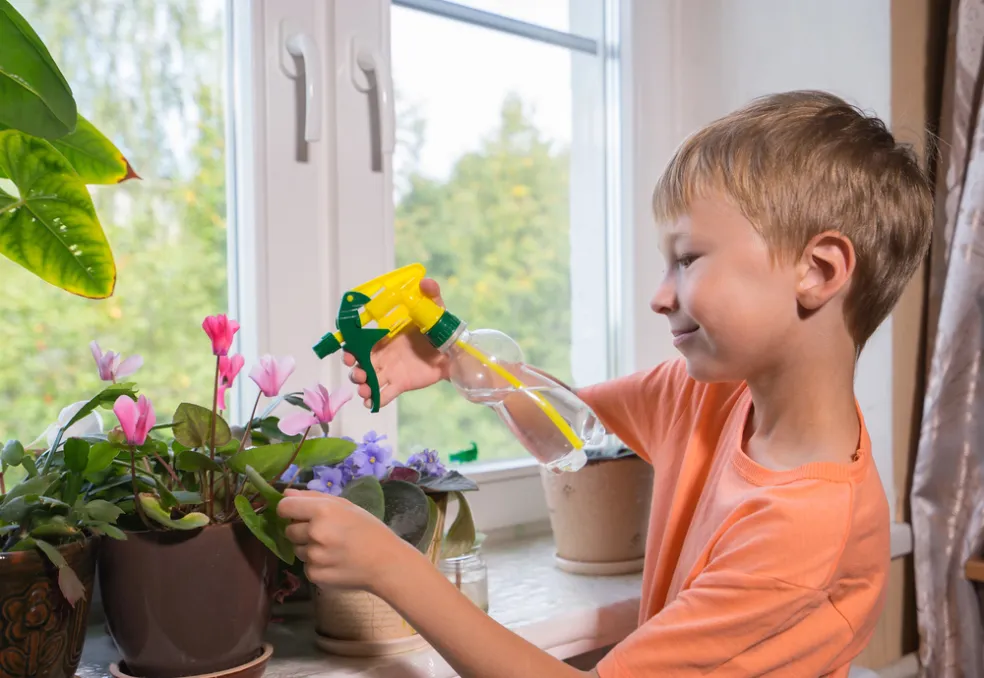  príznaky po otrave toxickými izbovkami