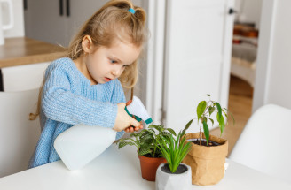 Toto sú toxické izbové rastliny, ktoré do detskej izby rozhodne nepatria. Pozor na ne!