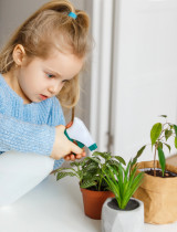 Toto sú toxické izbové rastliny, ktoré do detskej izby rozhodne nepatria. Pozor na ne!