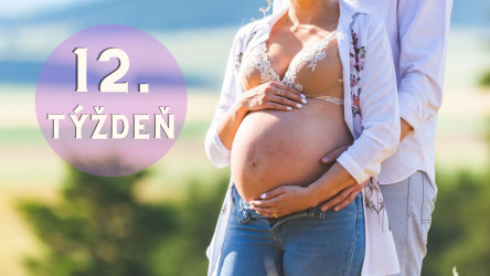 Tehotenstvo po týždňoch – 12. týždeň tehotenstva