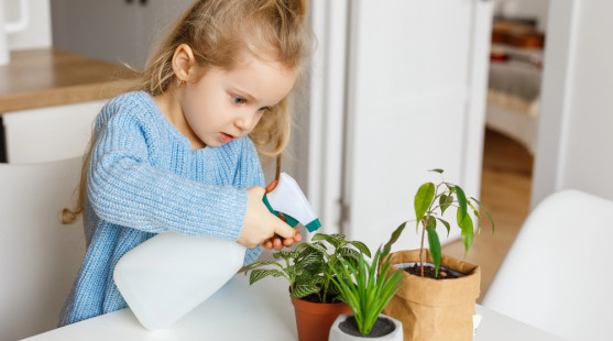 Toto sú toxické izbové rastliny, ktoré do detskej izby rozhodne nepatria. Pozor na ne!